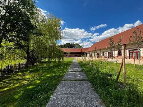 Festival International de Violoncelle - Rendez-vous musical au jardin