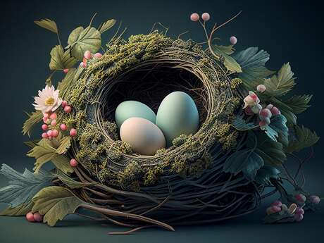 Atelier floral à Vauclair