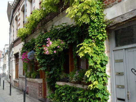JEP : La promenade archi surprenante