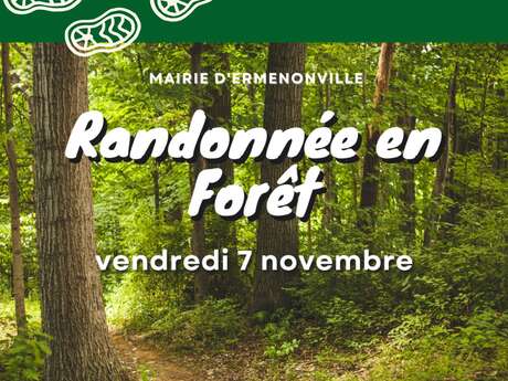 Randonnée en forêt d'Ermenonville