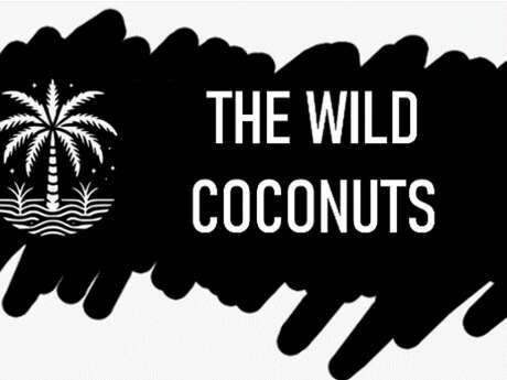 Scène d'Été au quartier balnéaire d'Onival : The Wild Coconuts