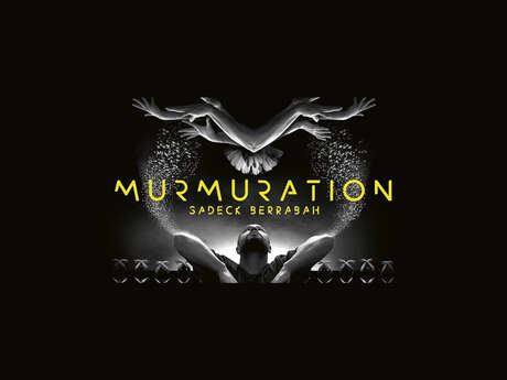 Spectacle "murmuration - level 2"
