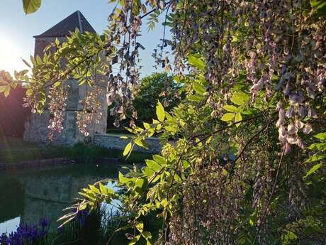 Jardins du Manoir du Plessis-au-Bois