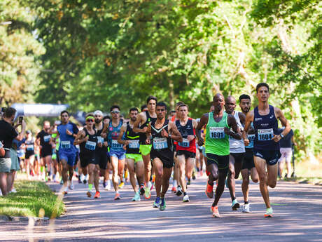 La course entre mer et forêt,10 km et semi-marathon