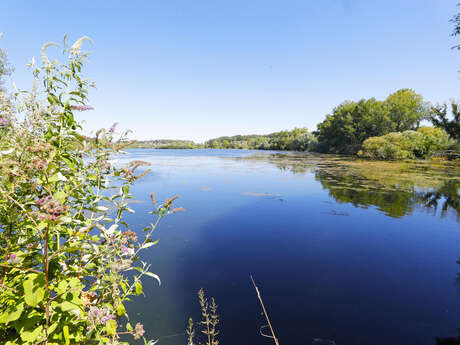 Le Bois de Lécluse