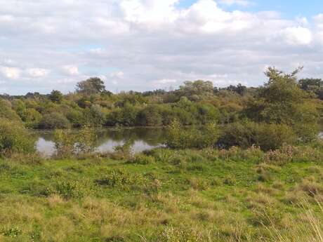 Marais de Tirancourt