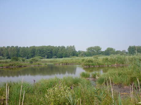 Marais de Belloy-sur-Somme