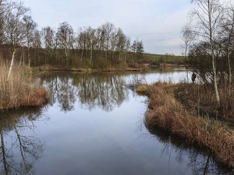 Marais de Génonville