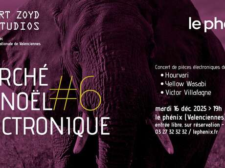 Marché de Noël électronique #6 au phénix