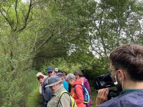Jeudis guidés du platier