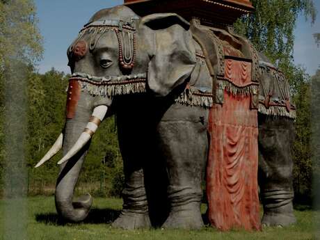 Spectacle 100% famille "Mémoires d'éléphant" au phénix