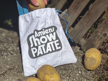 Chasse à la patate à Amiens