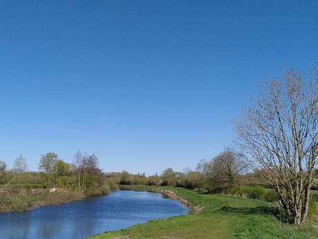 Le canal de la Sambre et ses richesses