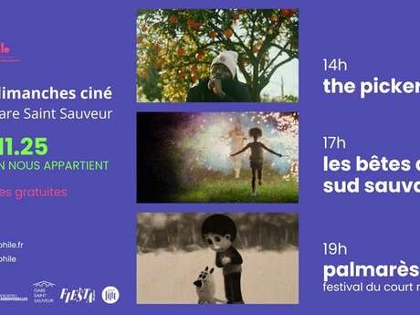 Demain nous appartient