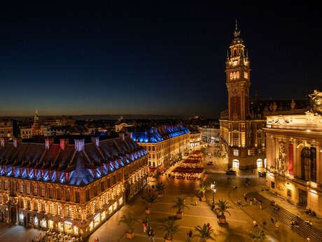 Visite guidée : Lille mon amour
