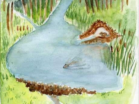 Balade naturaliste : "Branche - toi"