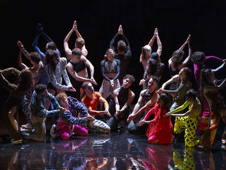 Static Shot / a Folia