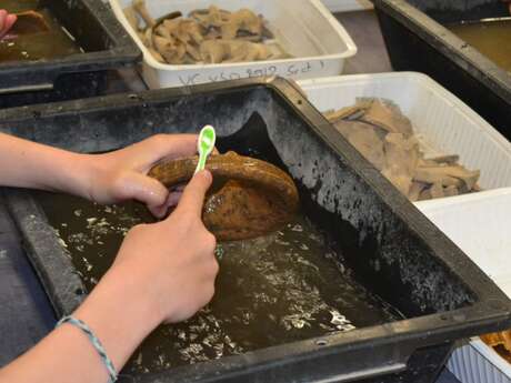 Atelier jeune public (4-6 ans) - Les petits archéos au labo