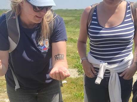 BALADE GUIDEE  "A la découverte de la Baie d'Authie "