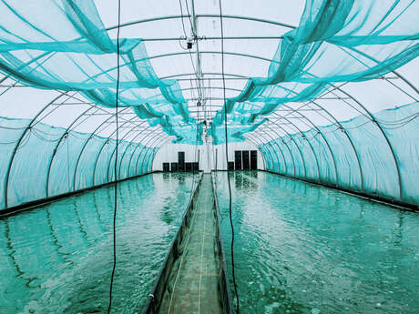 Visite d'Etika Spirulina, une ferme urbaine éthique et étonnante !