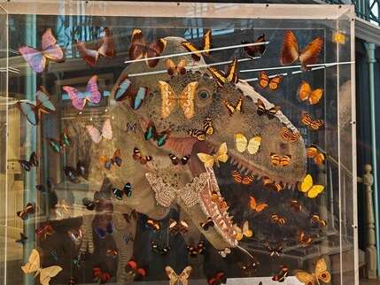 Fives / Atelier - Crée ton portrait de dino !