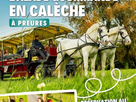 Balade en calèche
