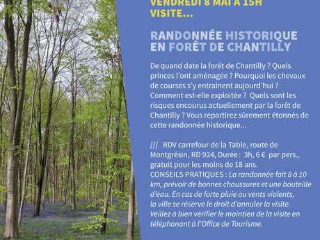 Randonnée historique en forêt de Chantilly