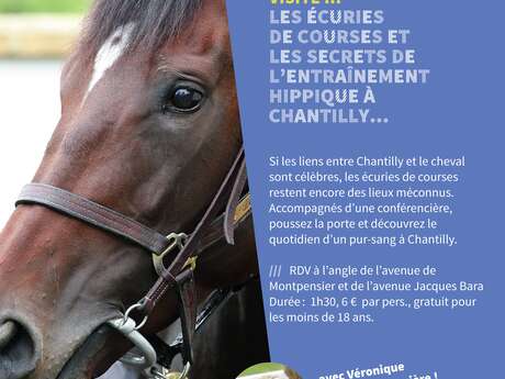 Visite guidée "Les écuries de courses et les secrets de l'entraînement hippique à Chantilly"