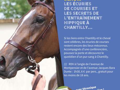 Visite guidée "Les écuries de courses et les secrets de l'entraînement hippique à Chantilly"