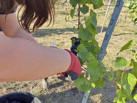 APEI du Valenciennois - Les Coteaux de l'Escaut