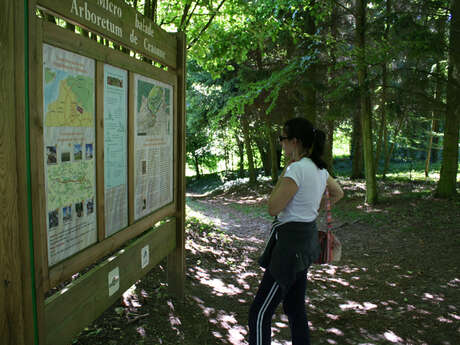 Vestiges du village de Craonne et Arboretum