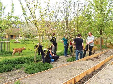 Initiez - vous au jardinage naturel Initiez - vous au jardinage naturel