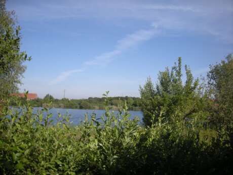 Rendez-vous Nature : De la plume à l'oeuf