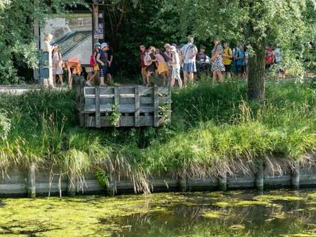 Balade naturaliste : découverte des bassins filtrants