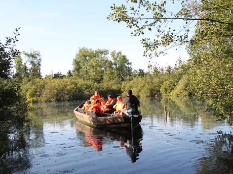 Balades en bâcove dans les marais d'Isle à Saint-Quentin