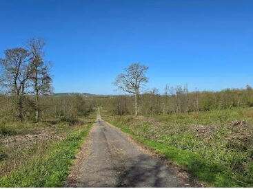 Bainc' trail baincthun