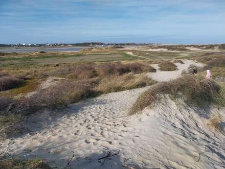 Dans les coulisses de la réserve naturelle nationale de la baie de canche
