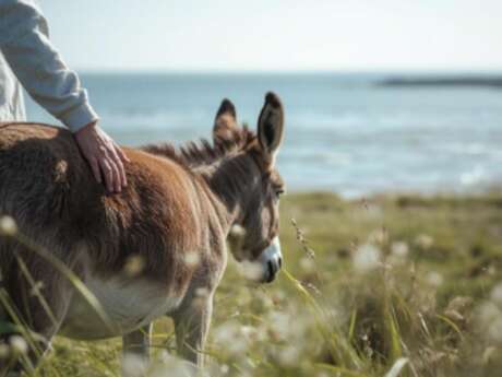 Balad’ânes sensorielle en baie de Somme