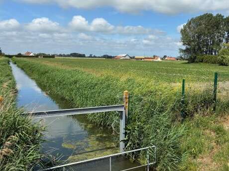 Balade dans la campagne de sainte-marie-kerque