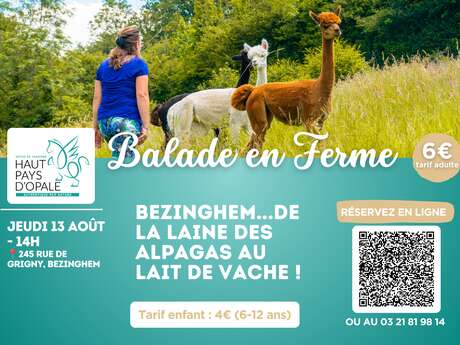 Balade en ferme à bezinghem