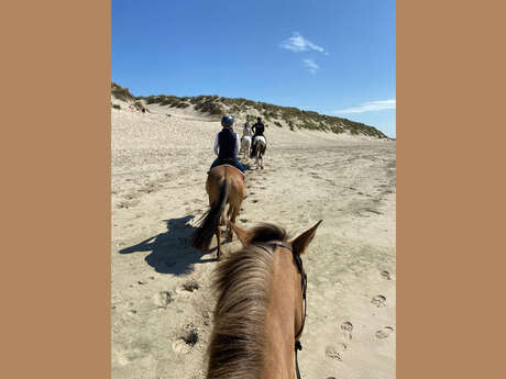 Balade nature à cheval