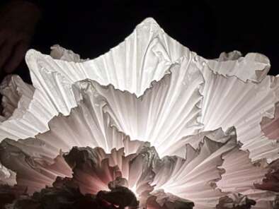 Musique / Arts plastiques et papier : Blanc(s)