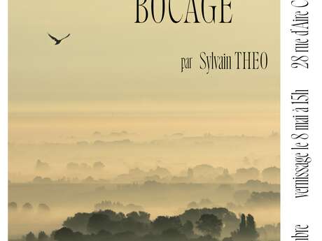 Exposition: "Bocages" à la Casseline, par Sylvain Théo
