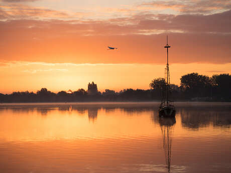 Balade naturaliste : "Les secrets du marais au crépuscule"