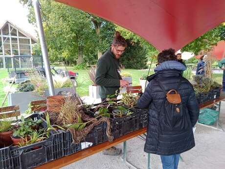 Troc Plantes