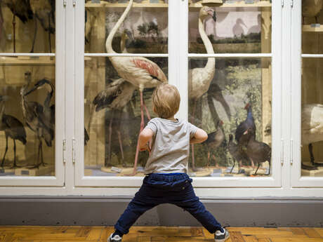 Création de poésie à hauteur des tout-petits / Atelier participatif autour des tapis sensoriels