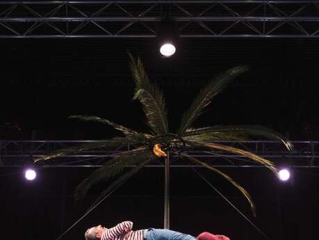 La Nuit du Cirque : Aimons-nous vivants - MMFF · Mathieu Ma Fille Foundation