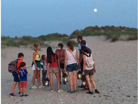Visite guidée - le parc nature de la baie de canche au crépuscule