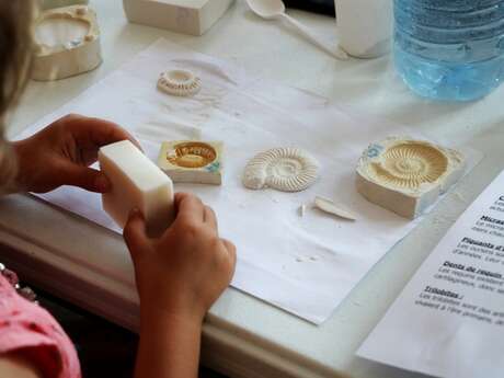 Les petits labos du Musée "Les fossiles" / à la Pouponnière