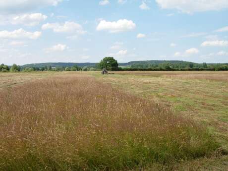 Les Prairies de Condren - Beautor